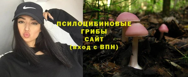 2c-b Балахна