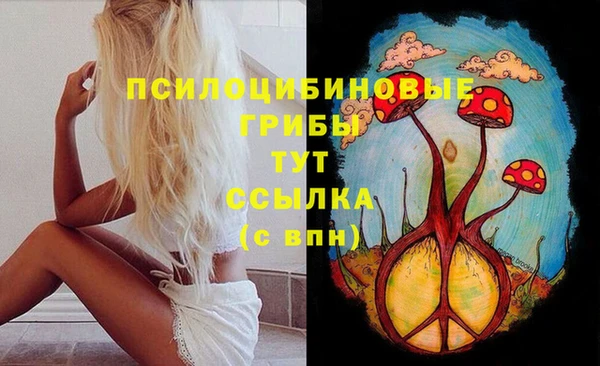 2c-b Балахна