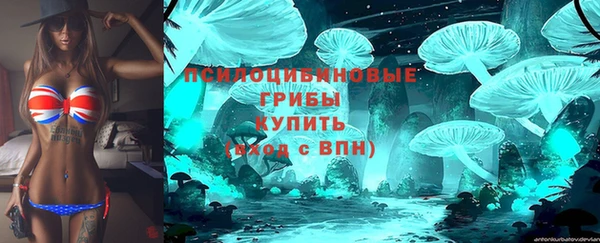 сатива Балабаново