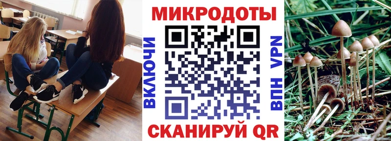 даркнет сайт  Баксан  Псилоцибиновые грибы мухоморы 